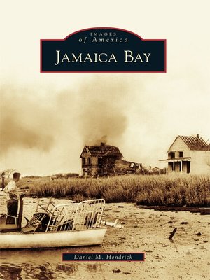 cover image of Jamaica Bay
